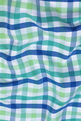 Parrot and leaf green with blue windowpane regular plaid check shirt