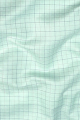Pistachio with grey line check shirt