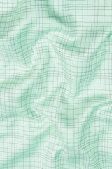 Pistachio with grey and blue Line check shirt