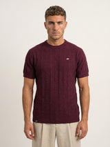 Vertex Beet Maroon Knitted Melange Cotton T-Shirt