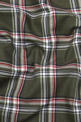Hunter Green With Red Check Dobby Cotton Shirt