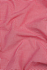 Red carpet on snow white pin check  cotton shirt
