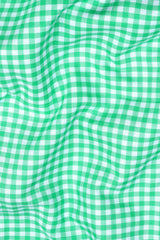 Classic parrot green with white twill check shirt