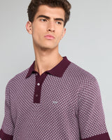 Formin Wine Purple Knitted Cotton Polo T-Shirt