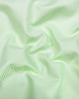 Cinchona Light Green Solid Premium Giza Cotton Shirt