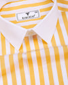 Solen Yellow With White Stripe Cotton Designer Shirt